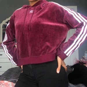 Velour Cropped Hoodie